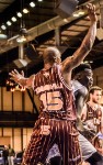 Paris-Levallois vs Orléans Loire Basket proA 2016 © Laurence Masson (3)