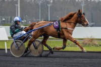 Courses à Vincennes © Laurence Masson (2)