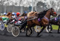 Courses à Vincennes © Laurence Masson 2015 (2)