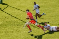 Racing 92 / Toulon - quart de finale ERCC- ©  Laurence Masson Photographie 2016 (2)
