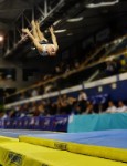 Championnats de France de trampoline/tumbling 2014 © Laurence Masson (4)